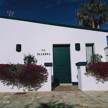 Casa La Palmera - Solo Familias Y Parejas Conil De La Frontera Bagian luar foto