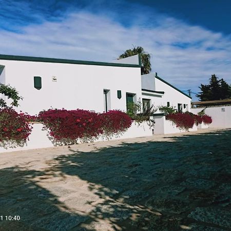 Casa La Palmera - Solo Familias Y Parejas Conil De La Frontera Bagian luar foto