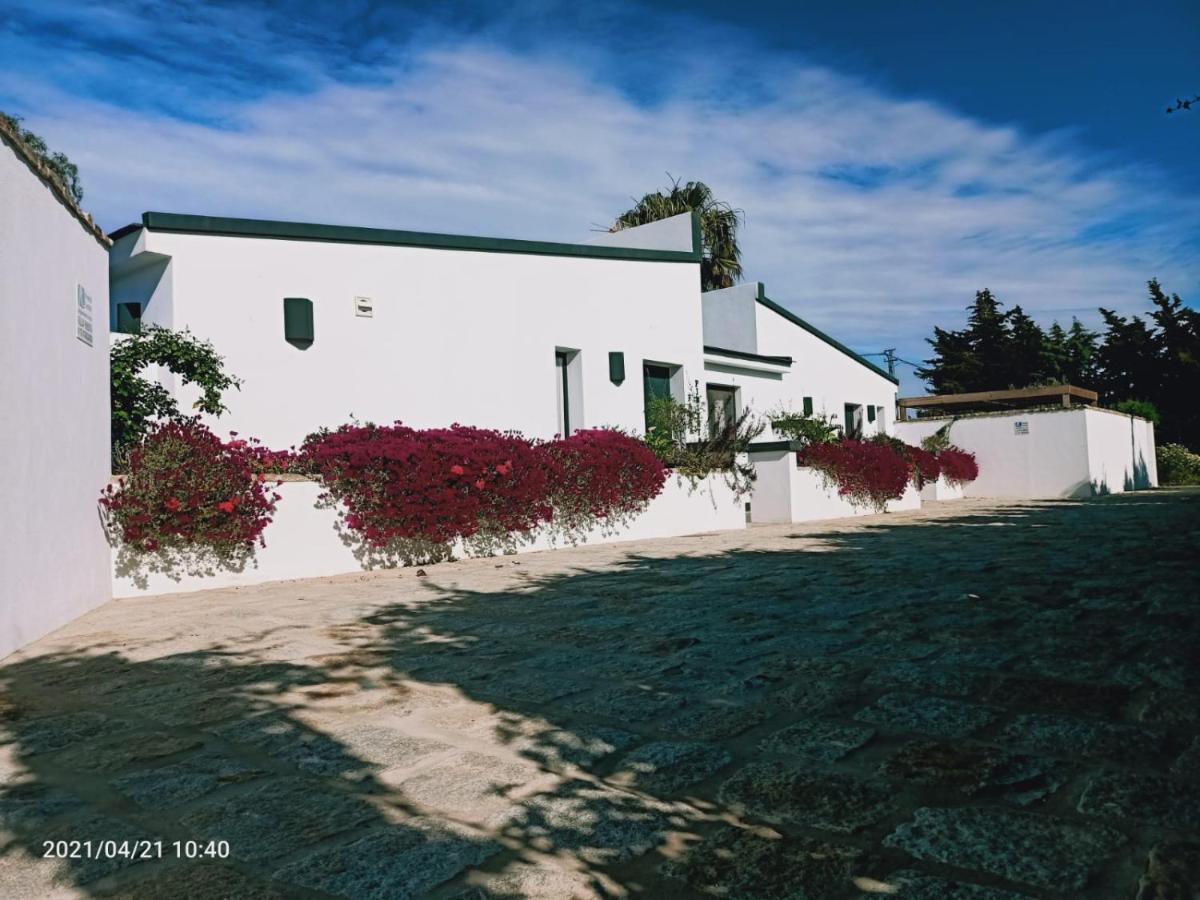 Casa La Palmera - Solo Familias Y Parejas Conil De La Frontera Bagian luar foto